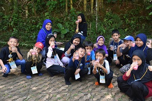 pd6