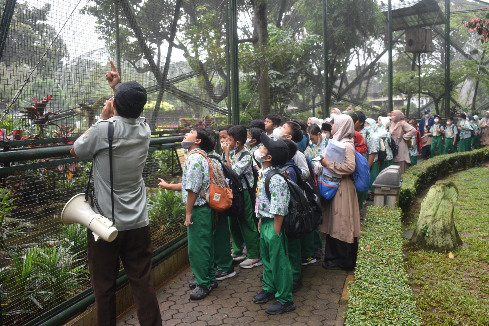 kunkel tinggi 2